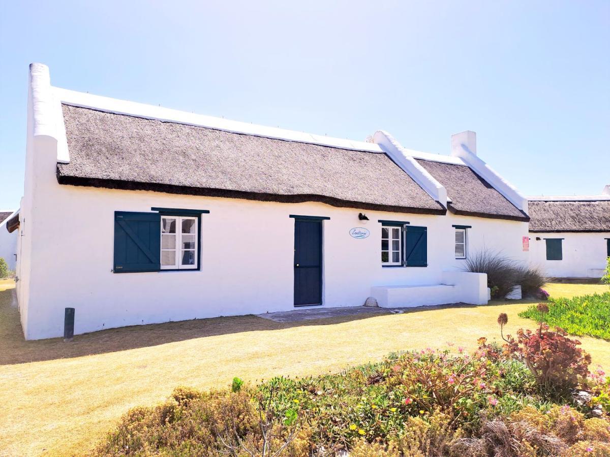 Zandtorini Seaside Cottage Struisbaai Exteriör bild